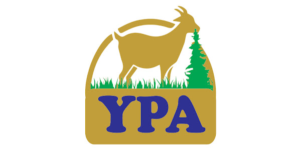 YPA logo